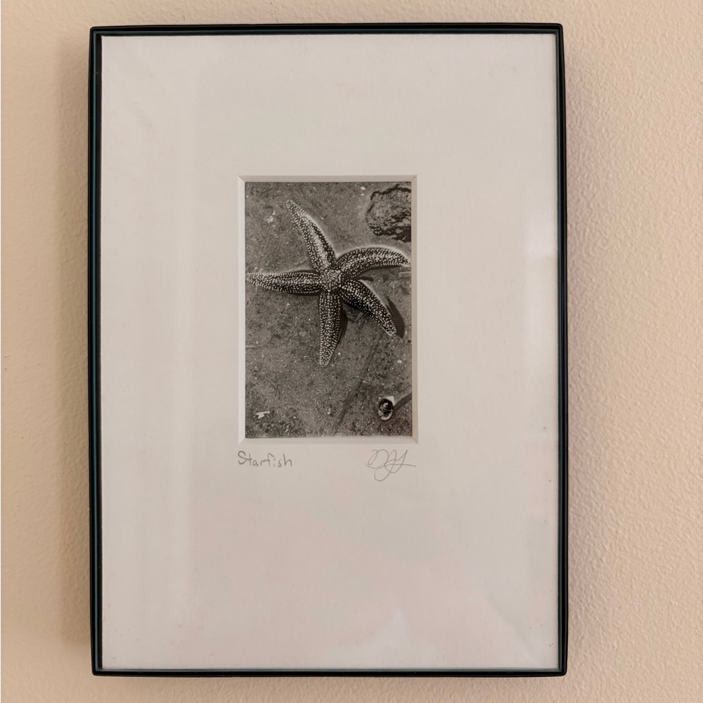 Framed Starfish Art Print